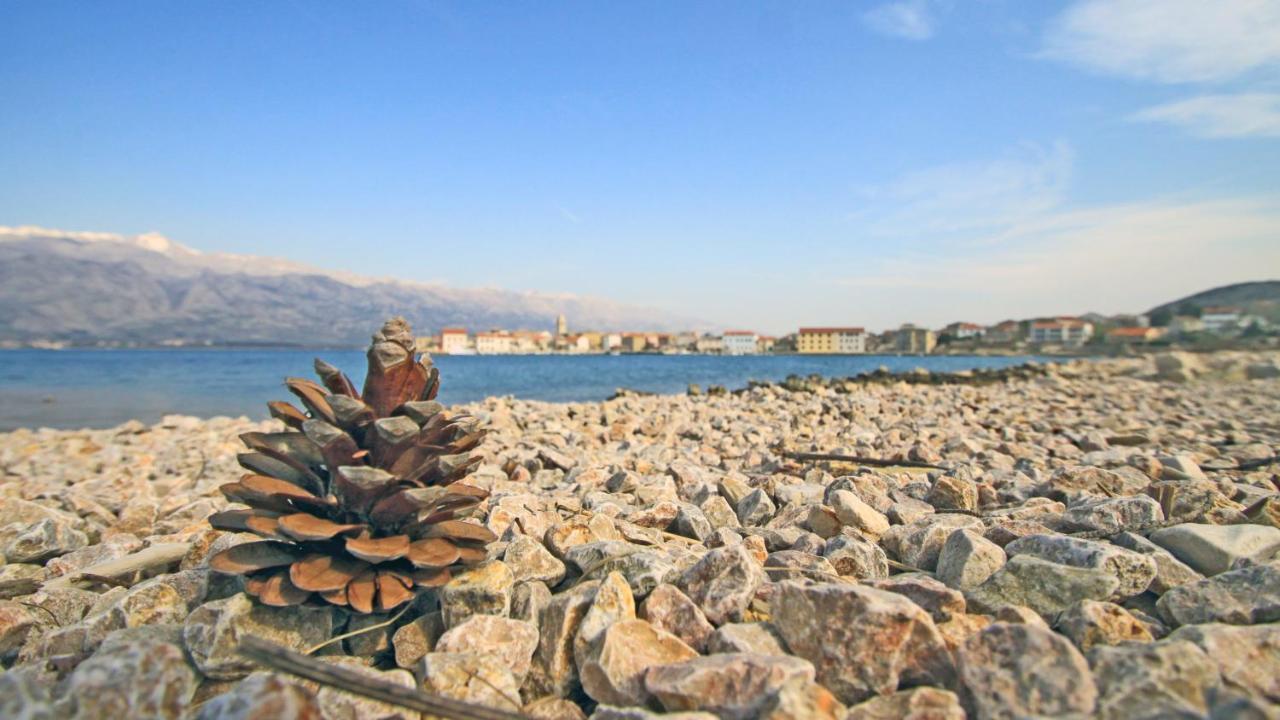 Seashell Vinjerac公寓 外观 照片